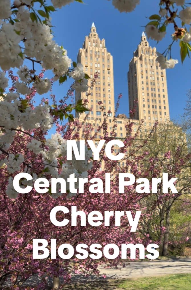 @NYC Local