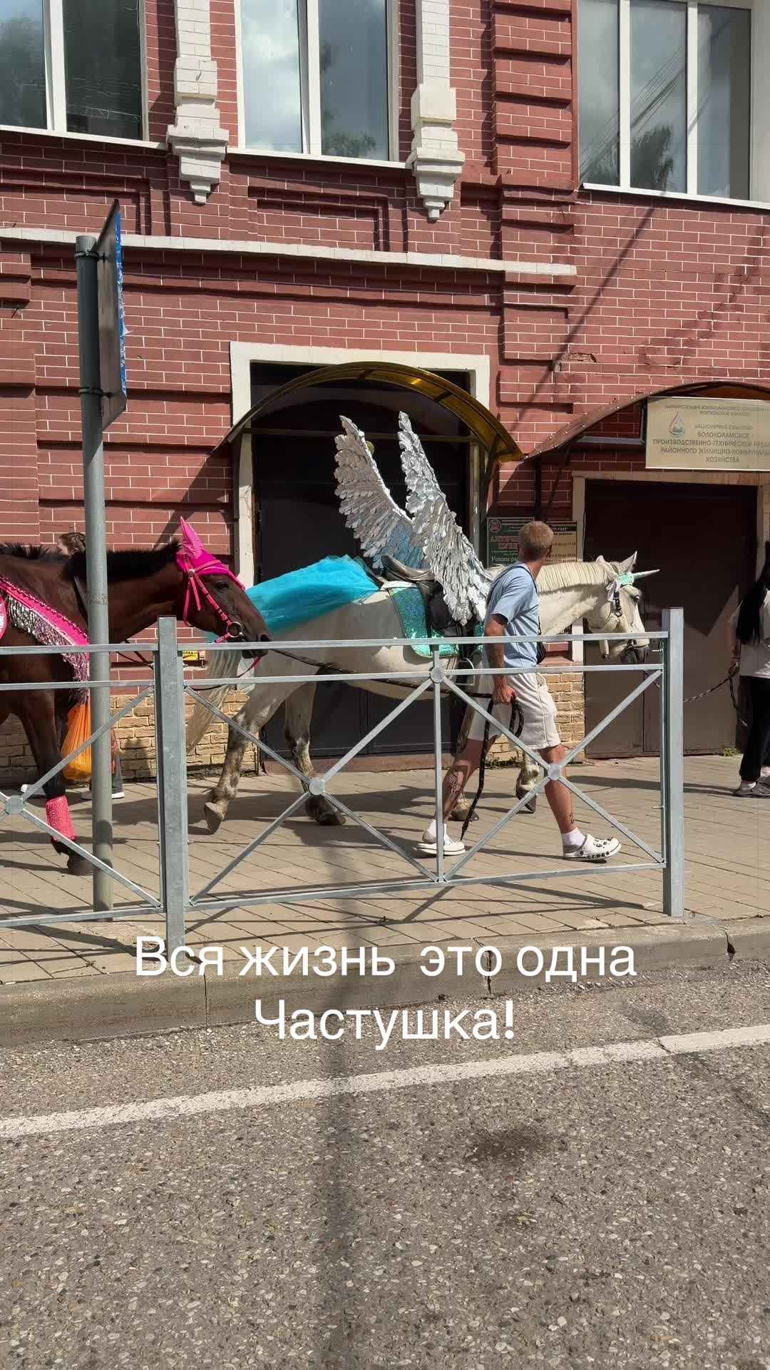 @VEDMA666