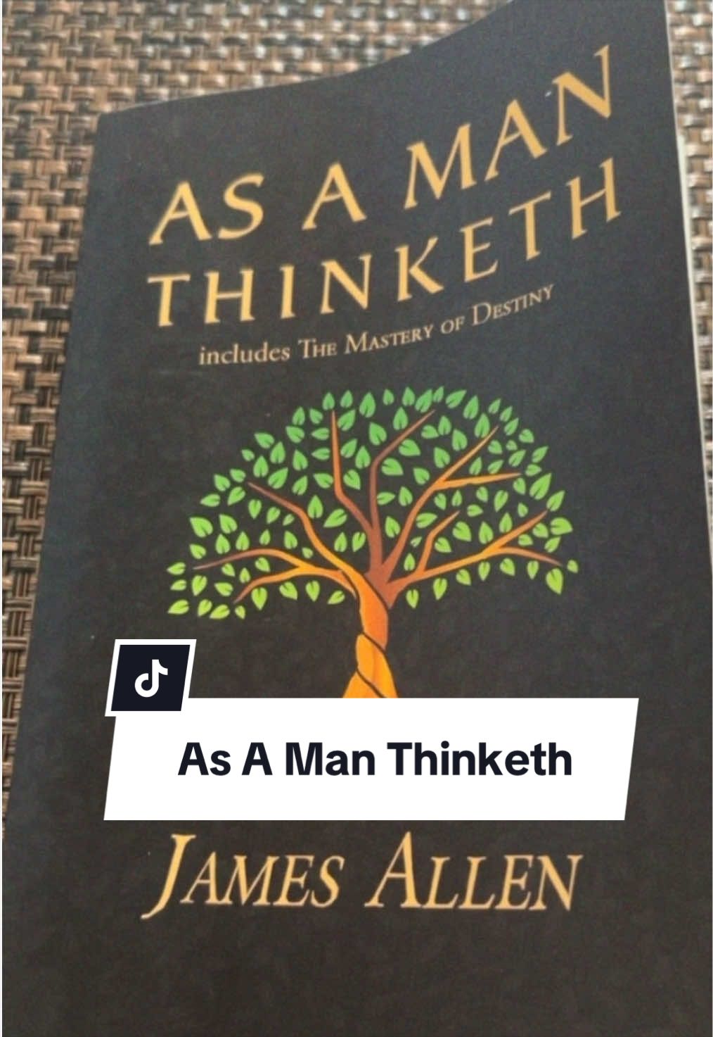 @Daily Mindset Shift