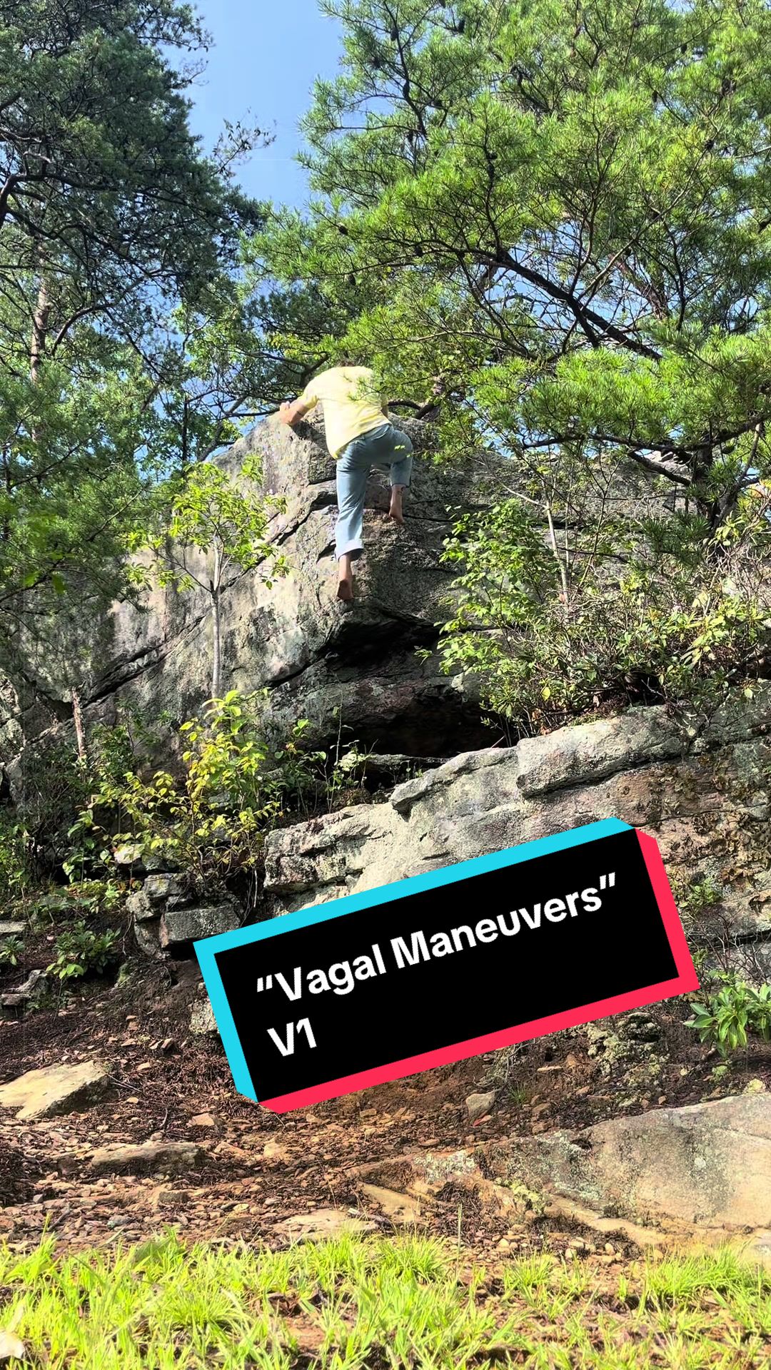 @Mog Climbs