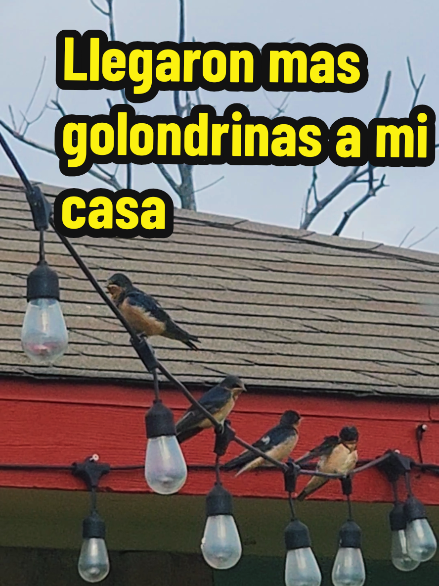 @Mi Rinc&oacute;n Favorito