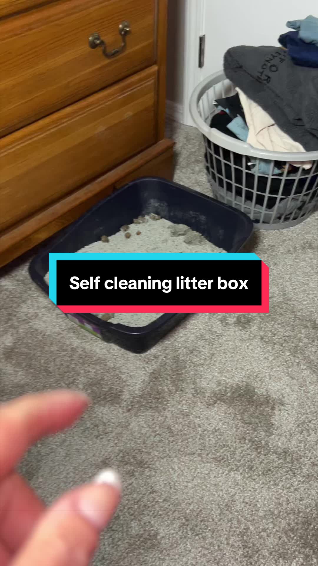 @sheroseanyway