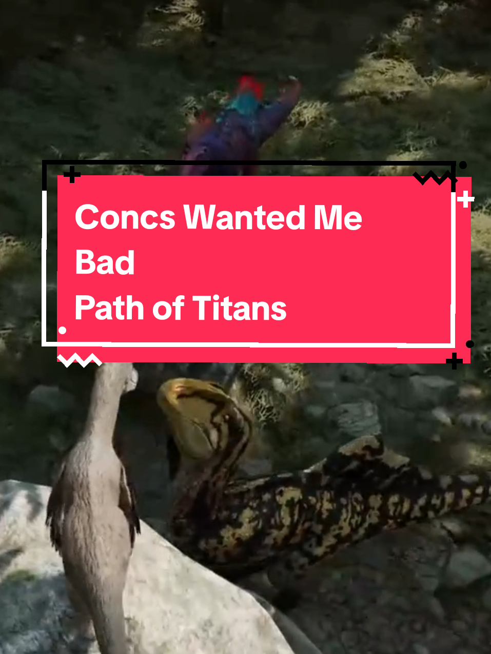 @Anti_Rhaye