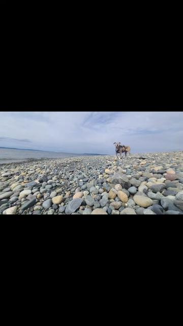 @Oatmeal 🐶🎧AKA Oaty D Luffy👒