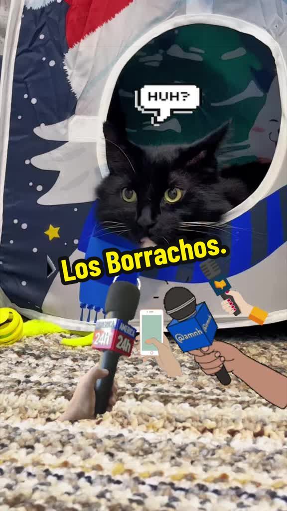 @🦖 MEOWassic CAT😺