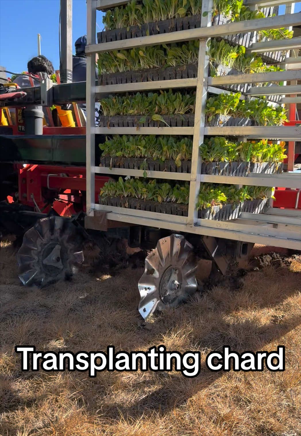 @GS3 Seed Farm