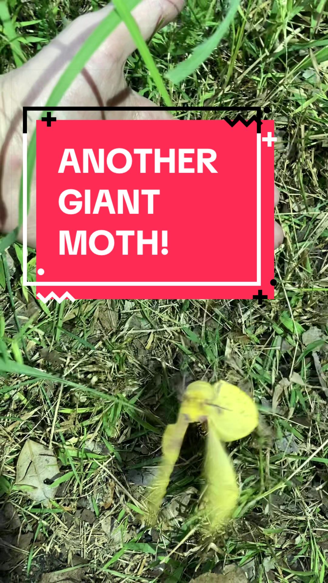 @DoctorBugz