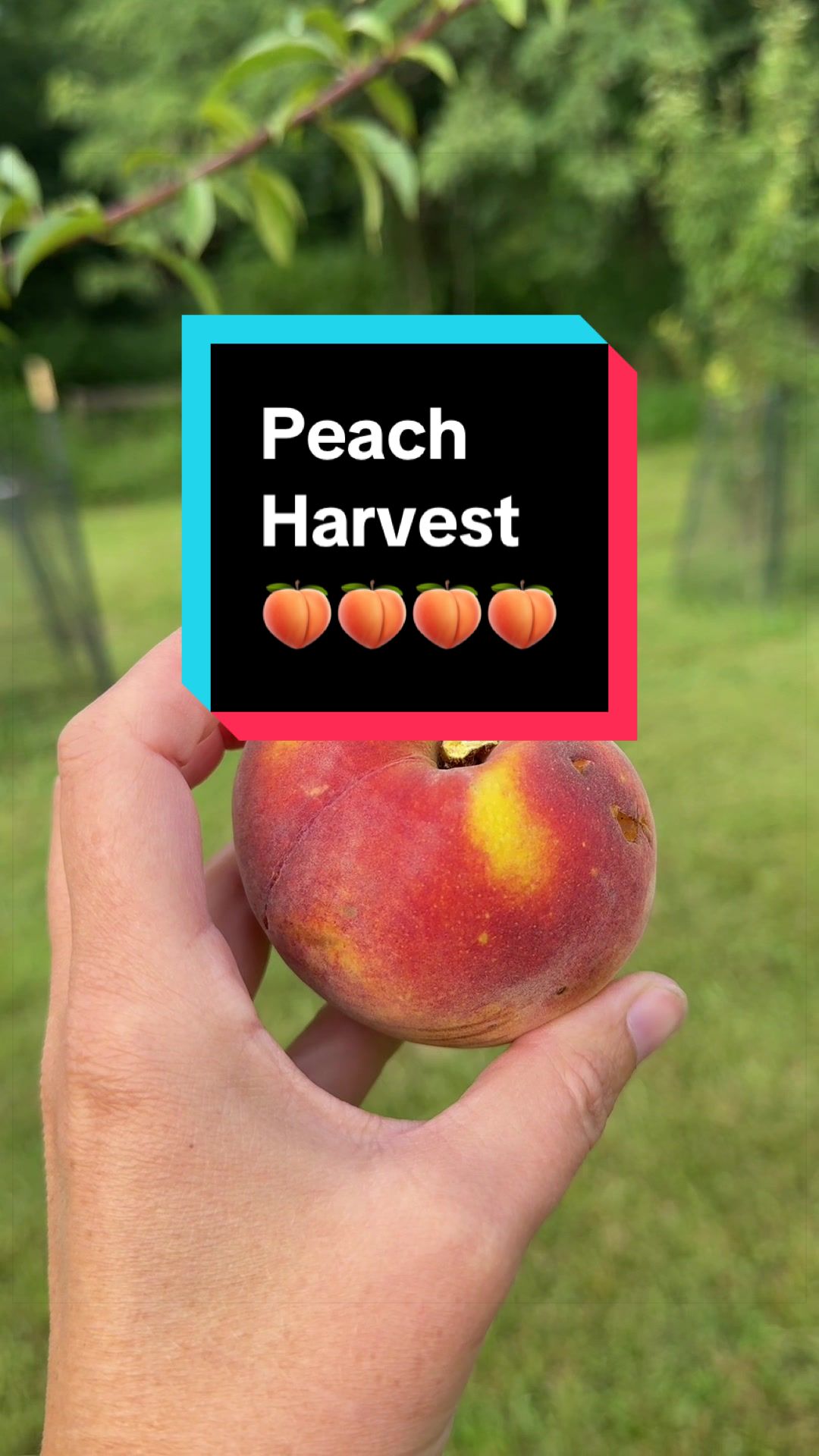 @VeryGoodGardening