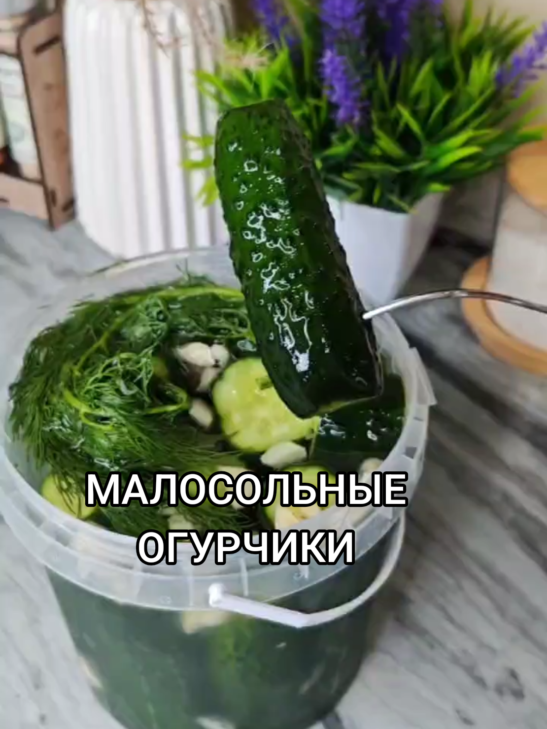 @Galina