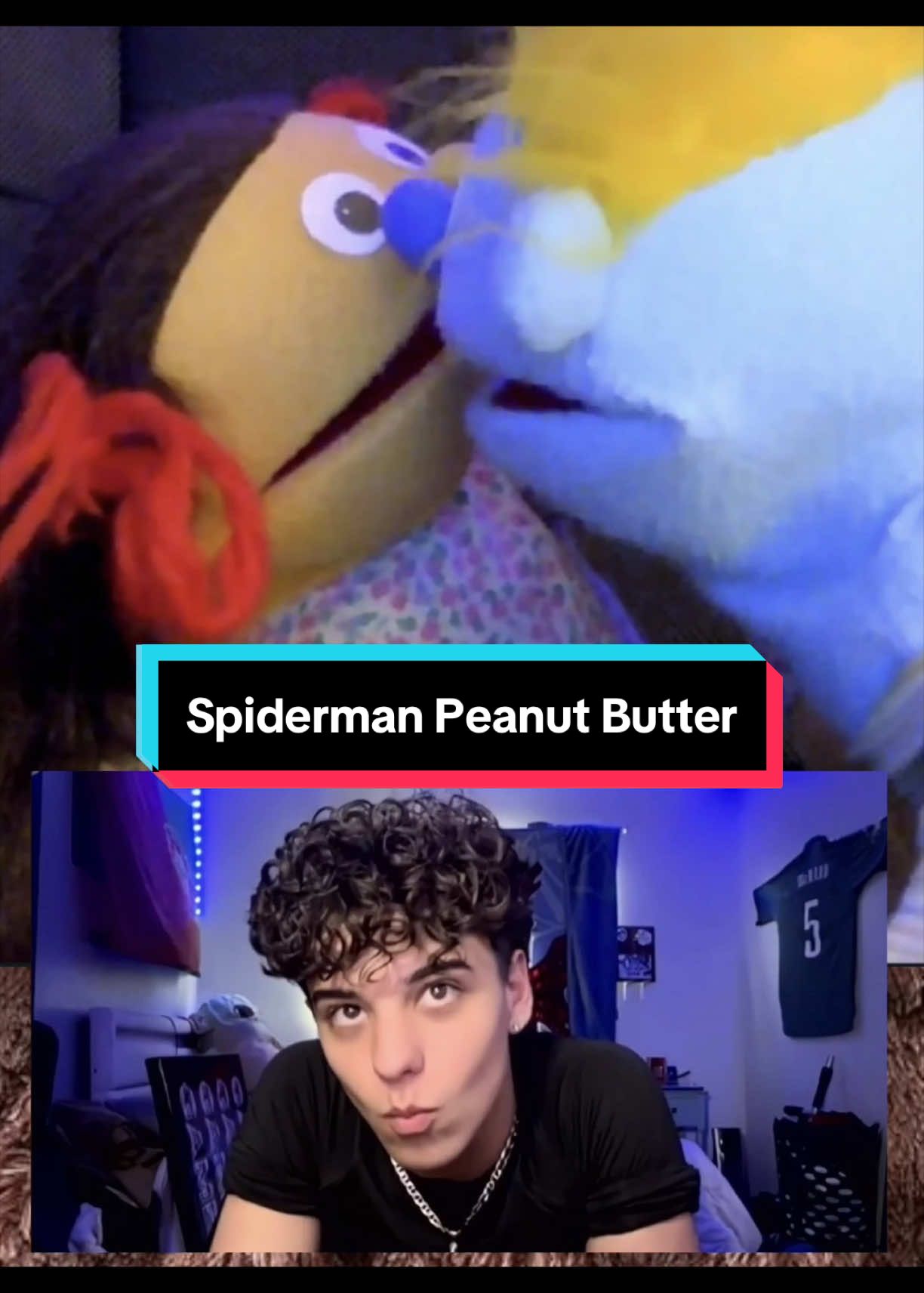 @PeterPrankster