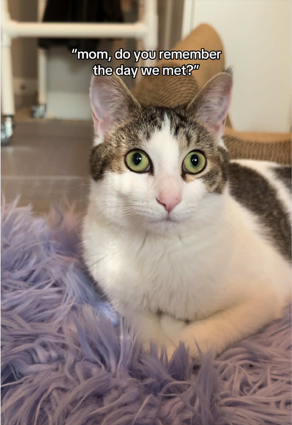 @Parcel the Paralyzed 😻