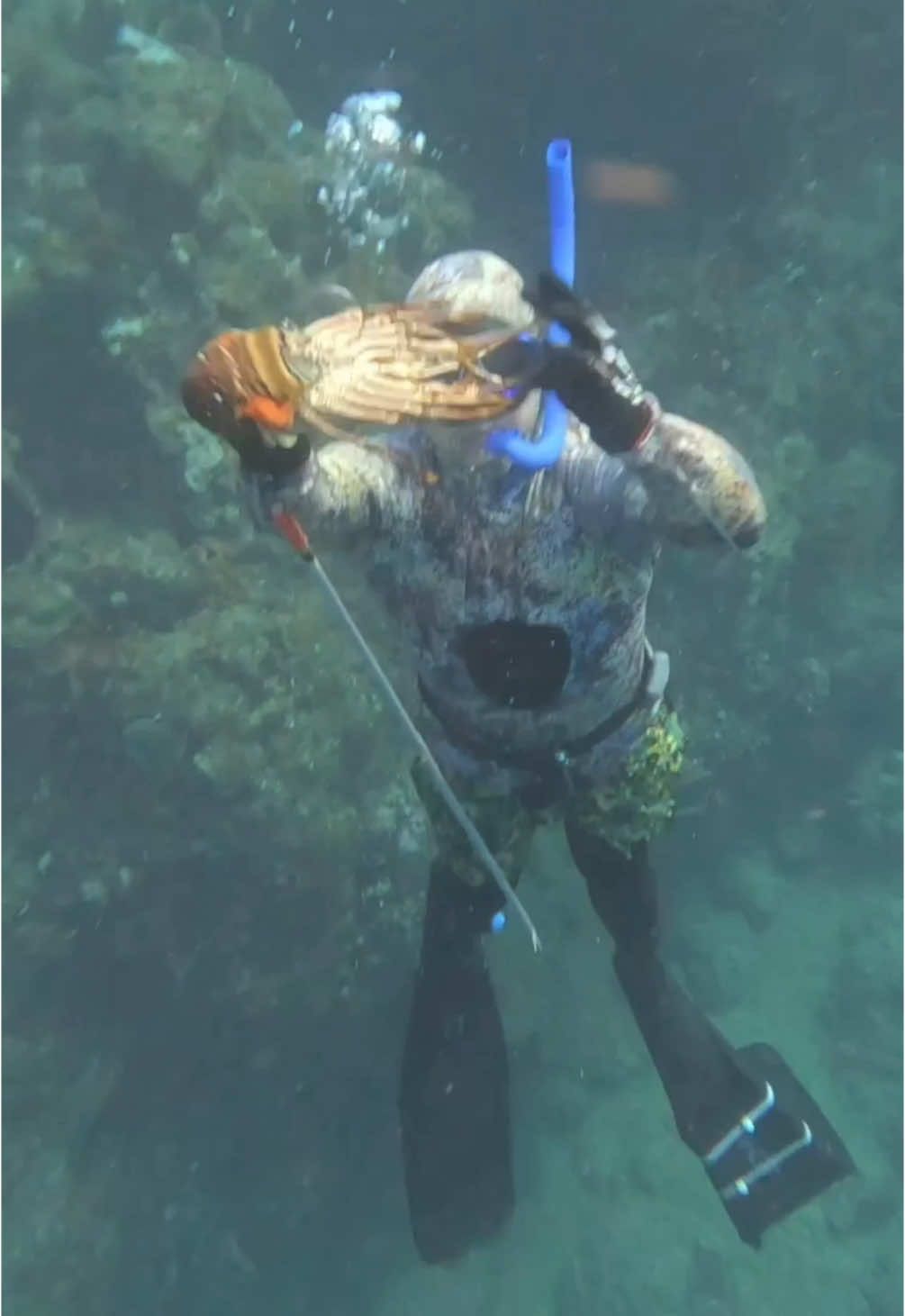 @Chill Diving
