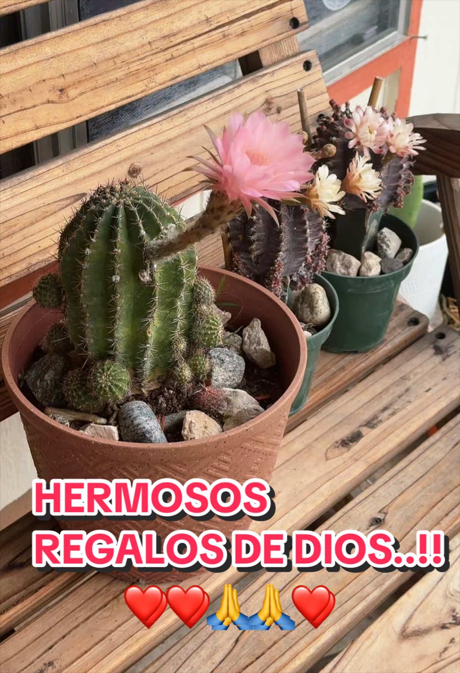 @Laclau