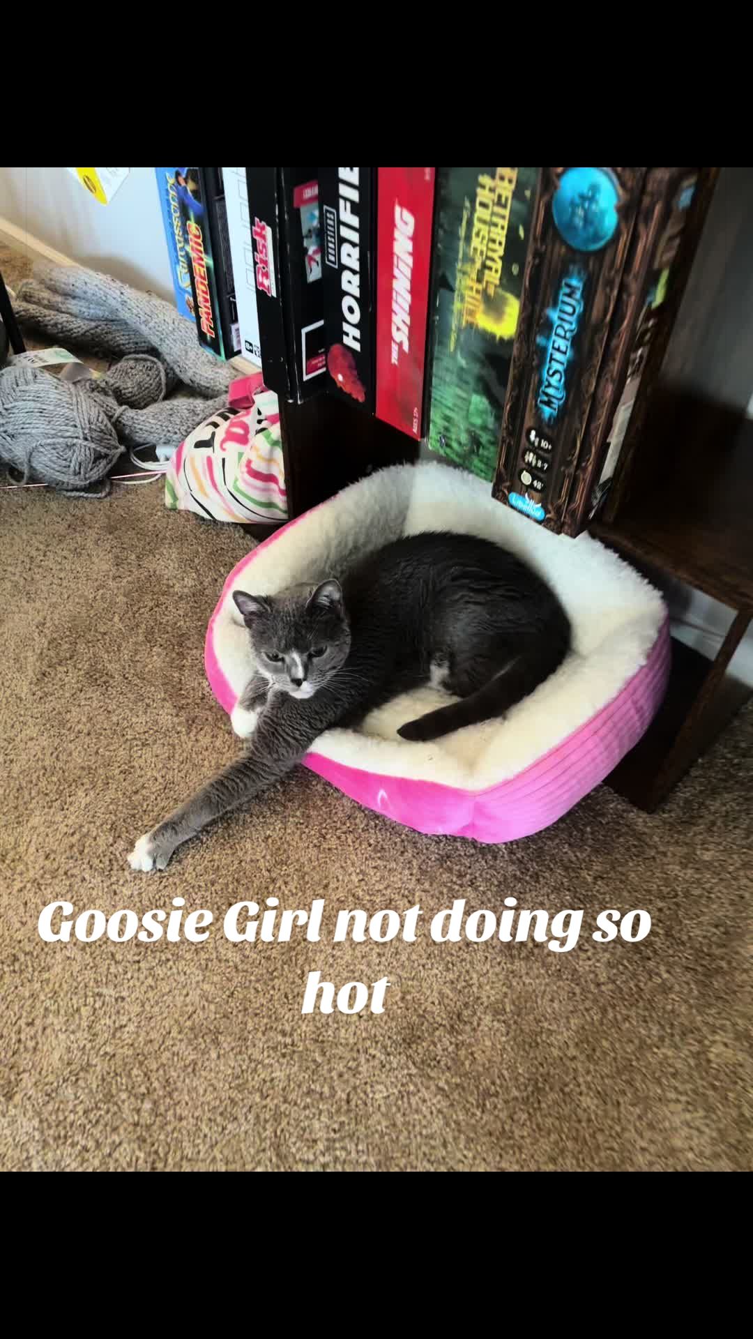 @goosie.gurl
