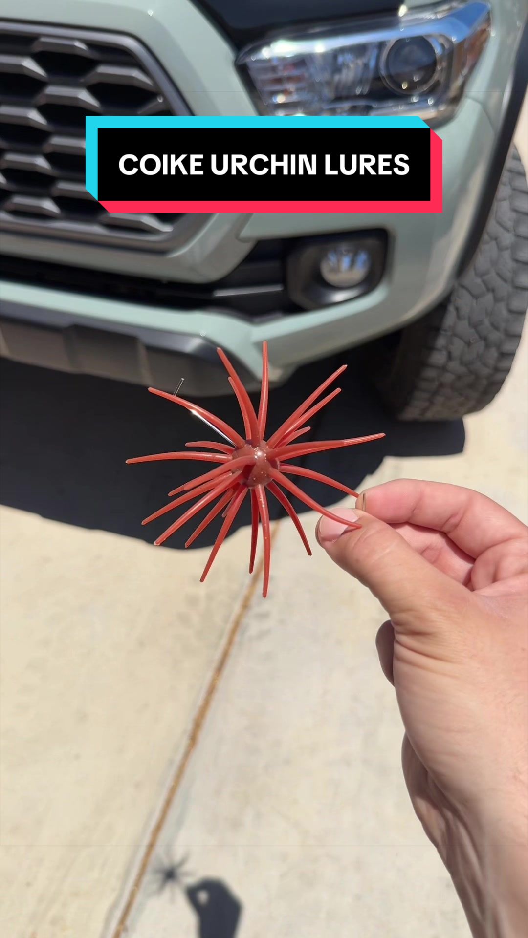 @Sharp Outdoors🏕️