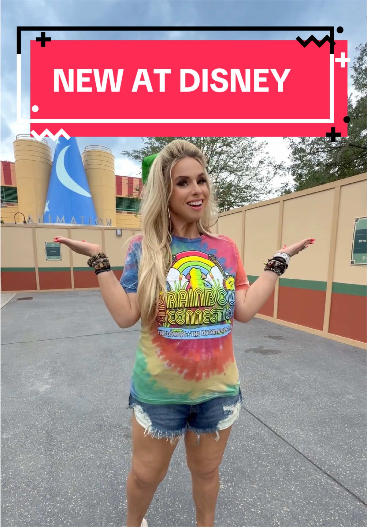 @LBV TV • Disney & Theme Parks