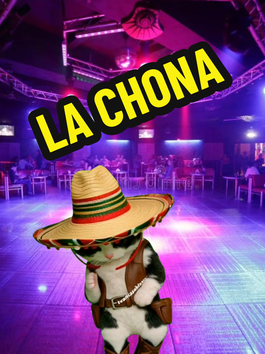 @Mambo