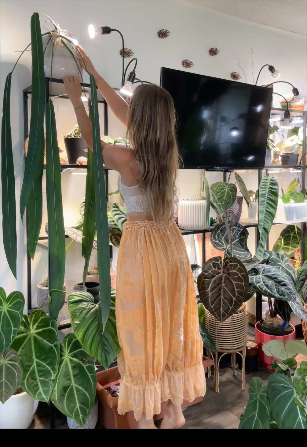 @theplantgirl_diaries