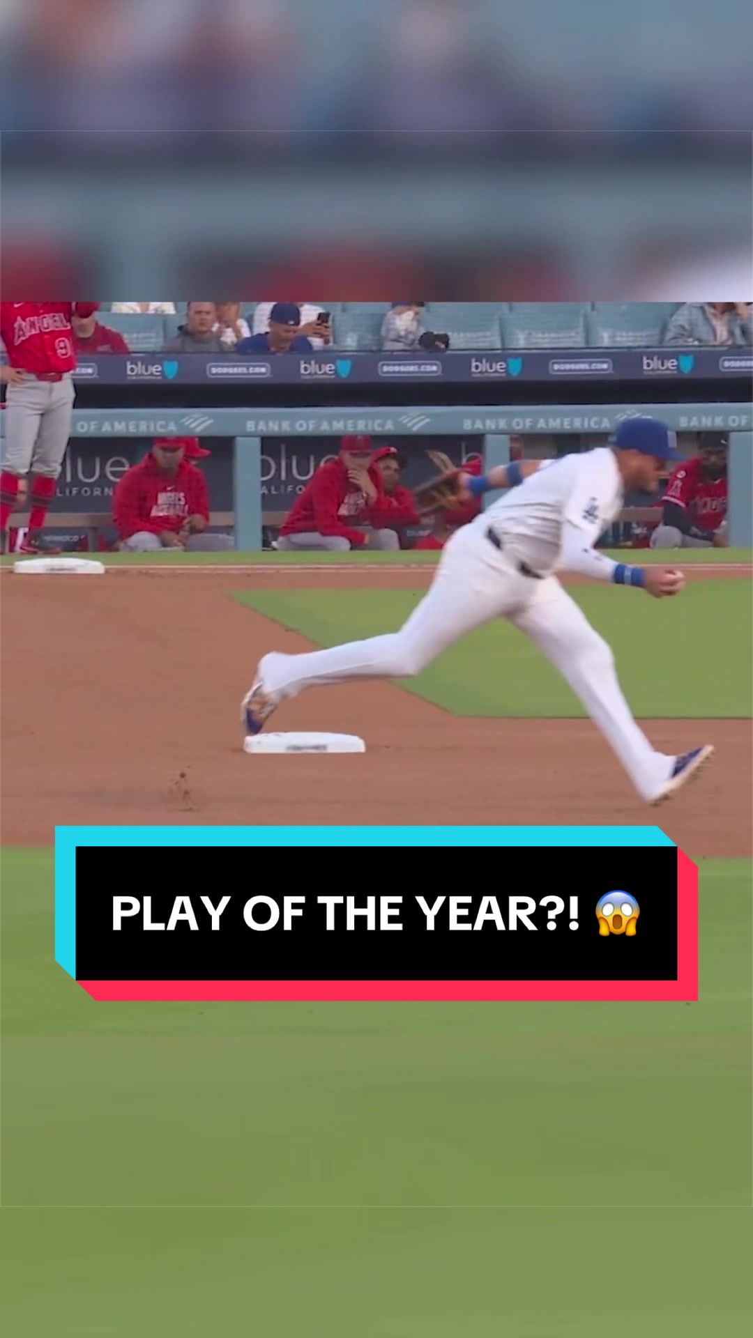 @MLB