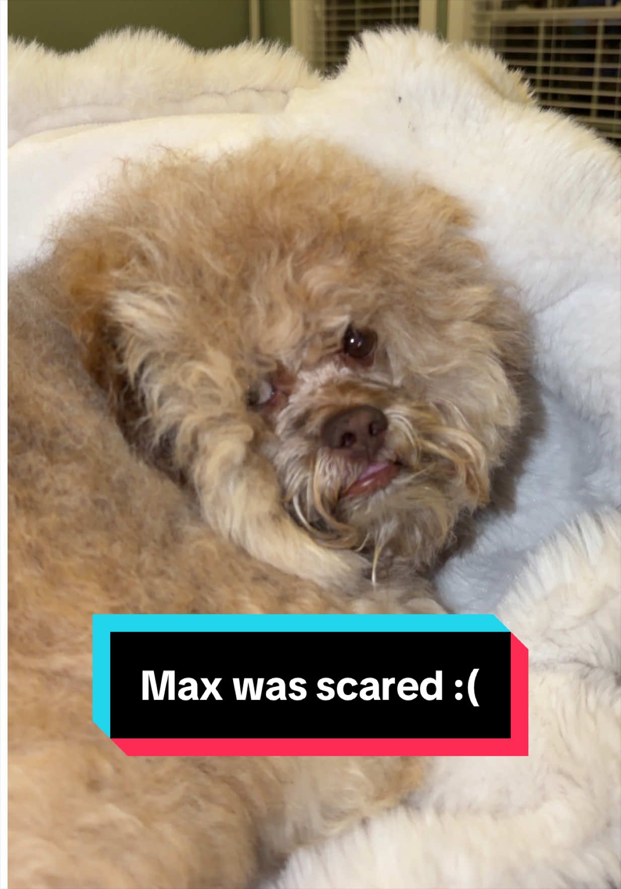 @Lil&rsquo; Max