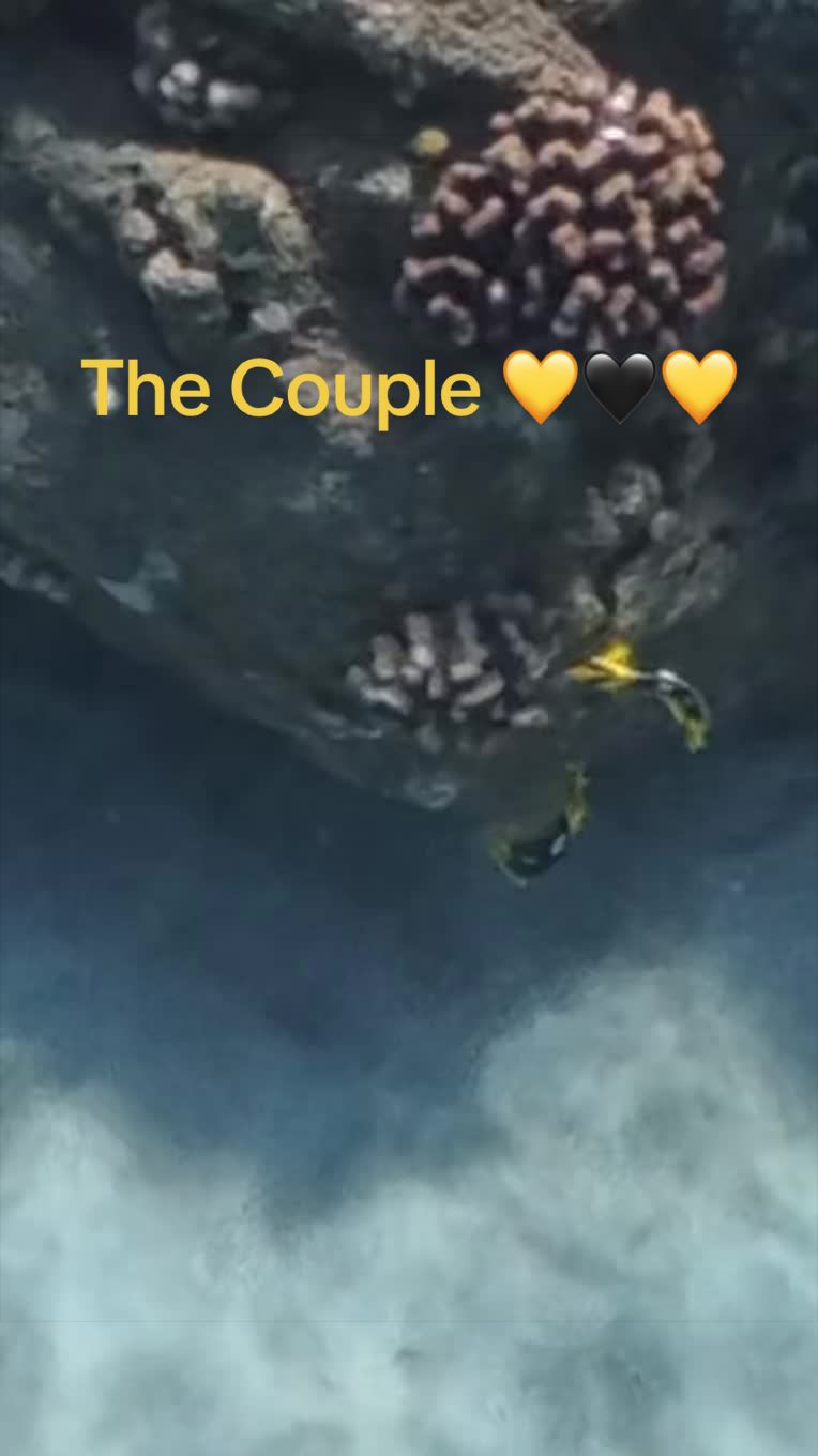@🌺AN🩵