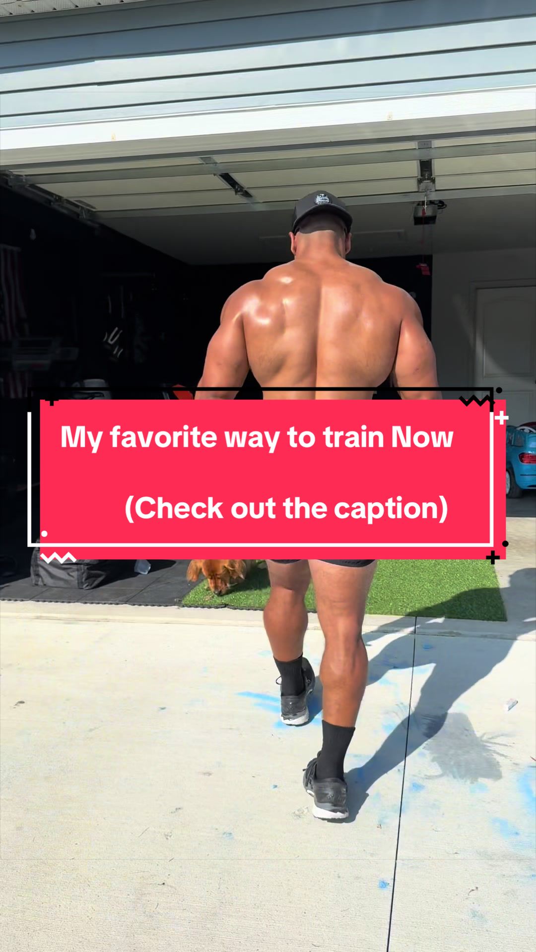 @Campus Muscle