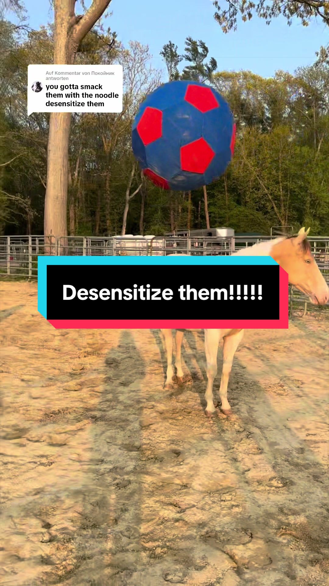 @Sandra’s pale herd 🐴