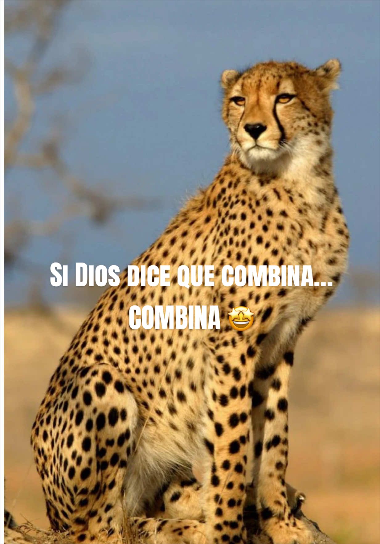 @Maribel Melendez Aguilar ❤️&zwj;🔥