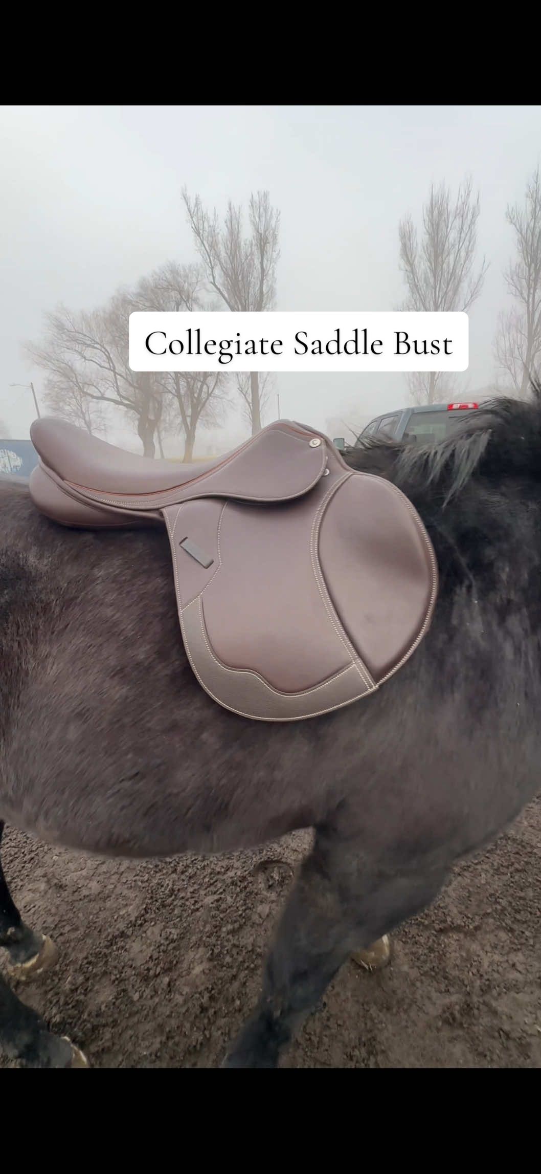 @addie | horse girl