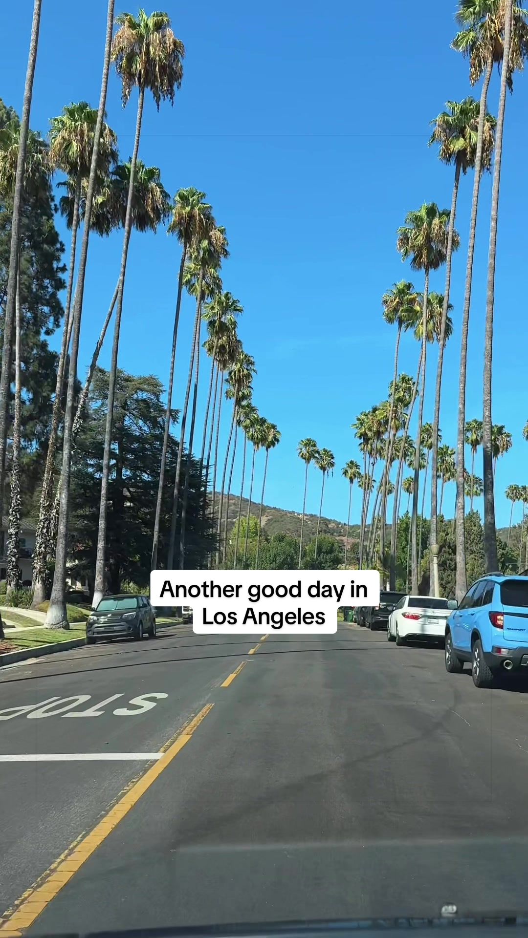 @Erfan | Epic America