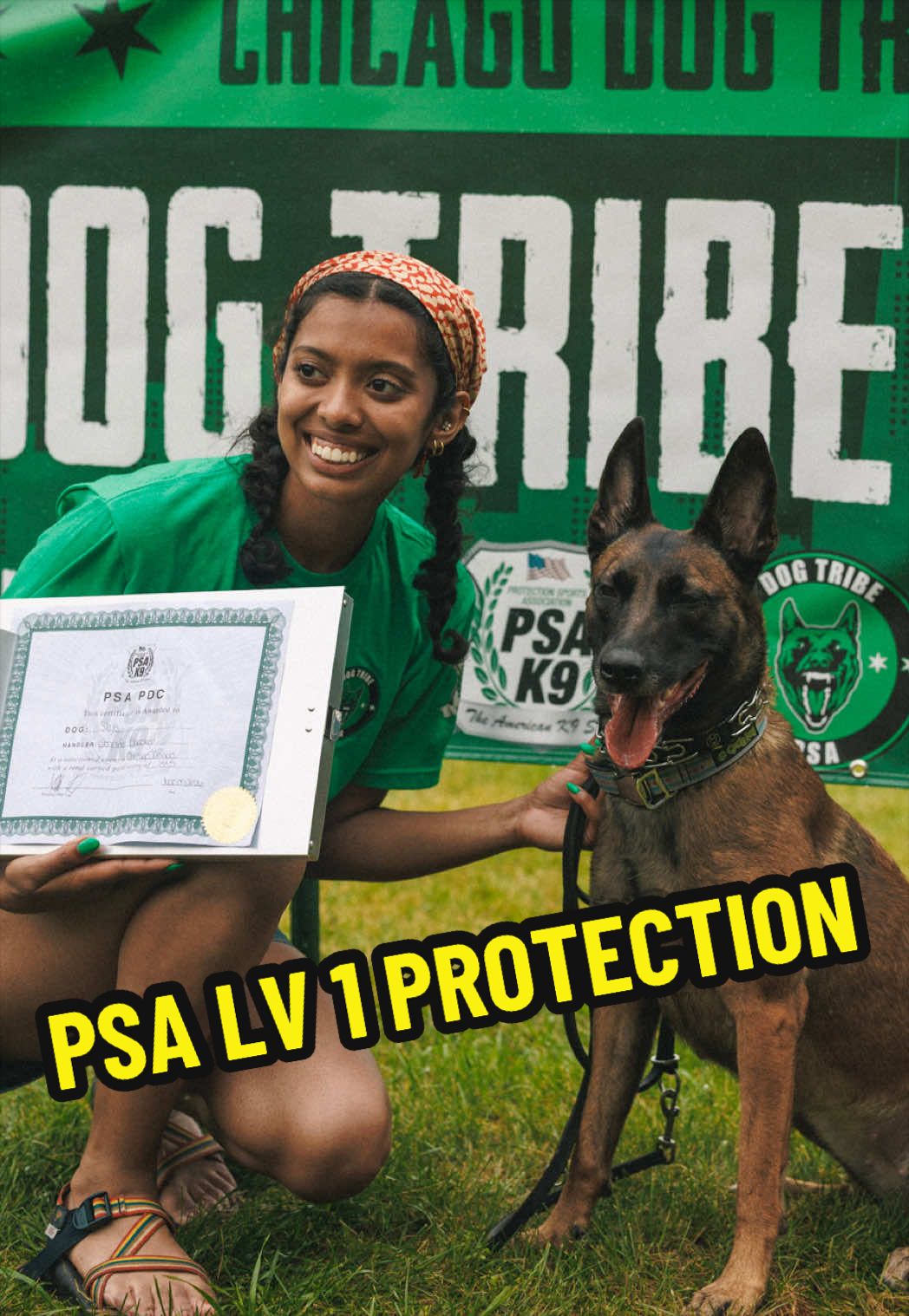 @dogstrainjen