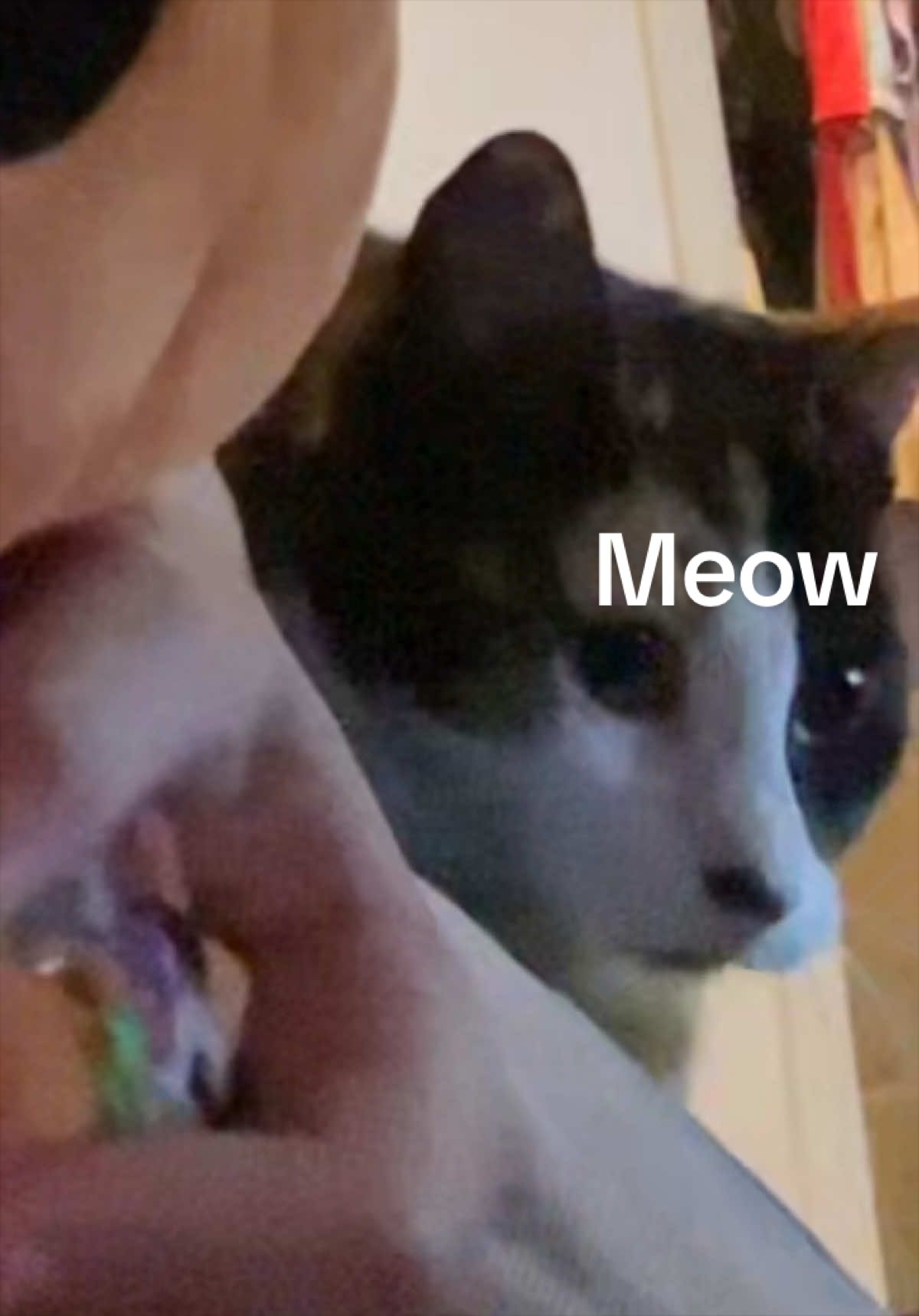 @⋆ ˚。⋆୨୧˚emo ahh teen˚୨୧⋆。˚ ⋆*