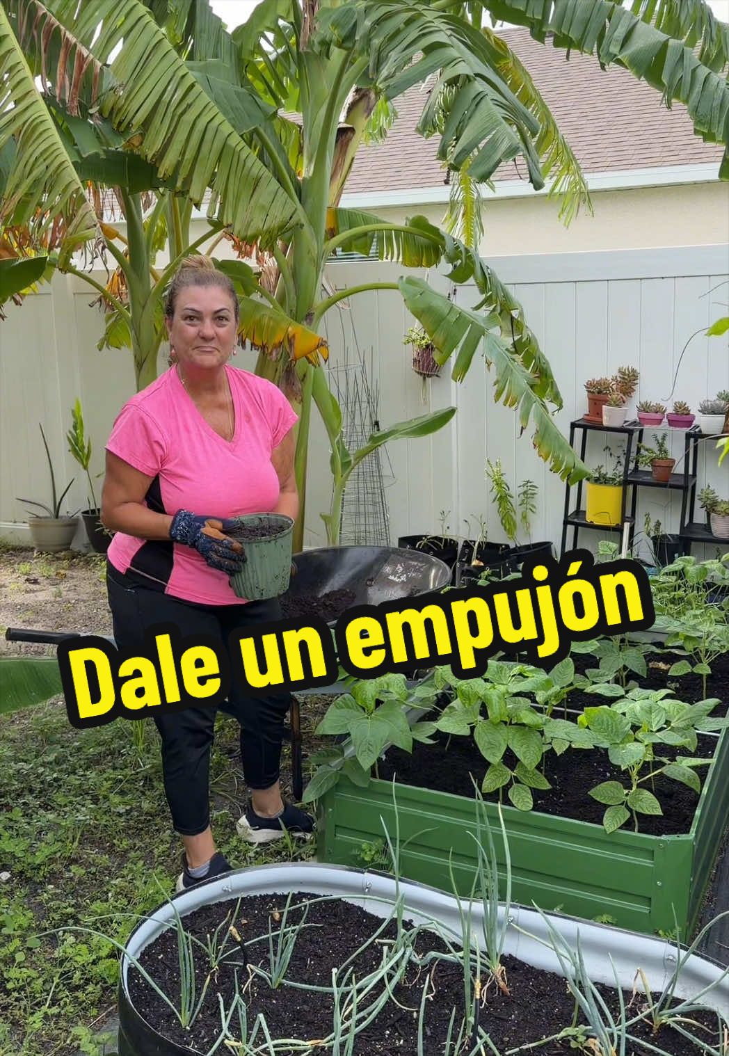 @Aprendiendo con Ana