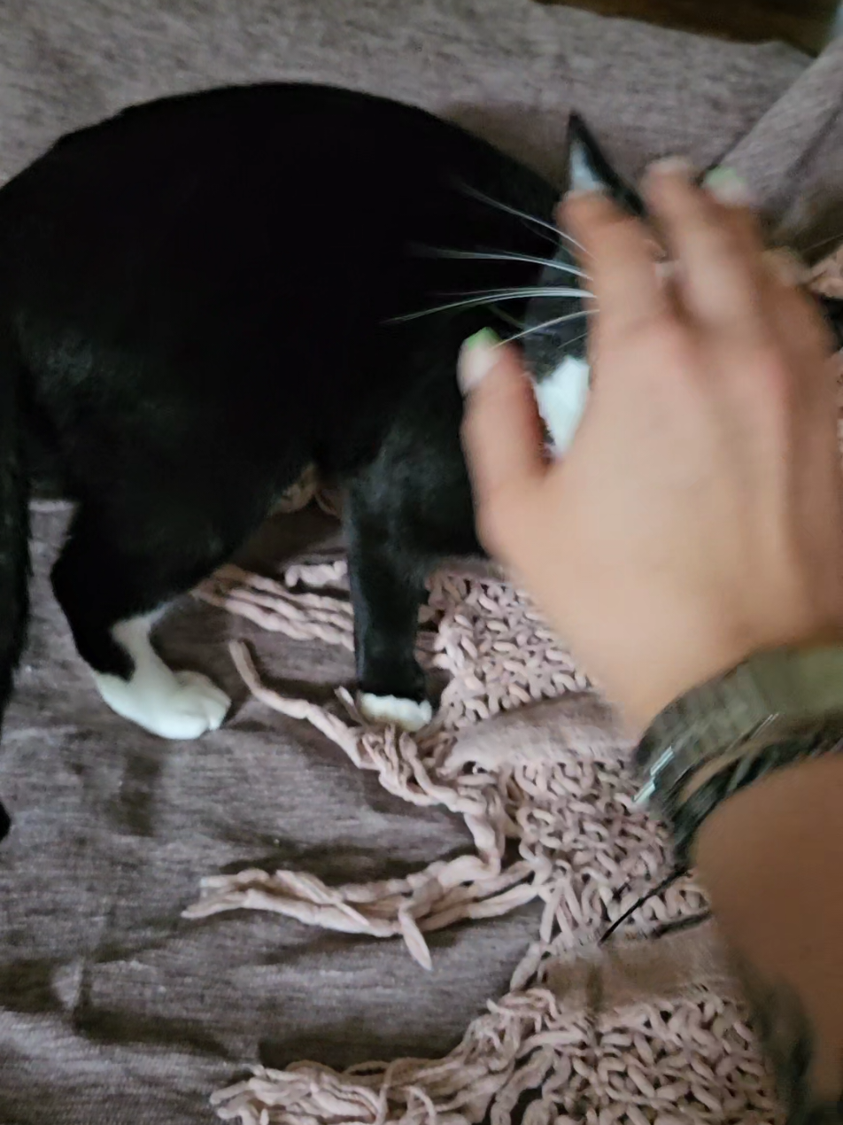 @Vader, Rocko, & Kona