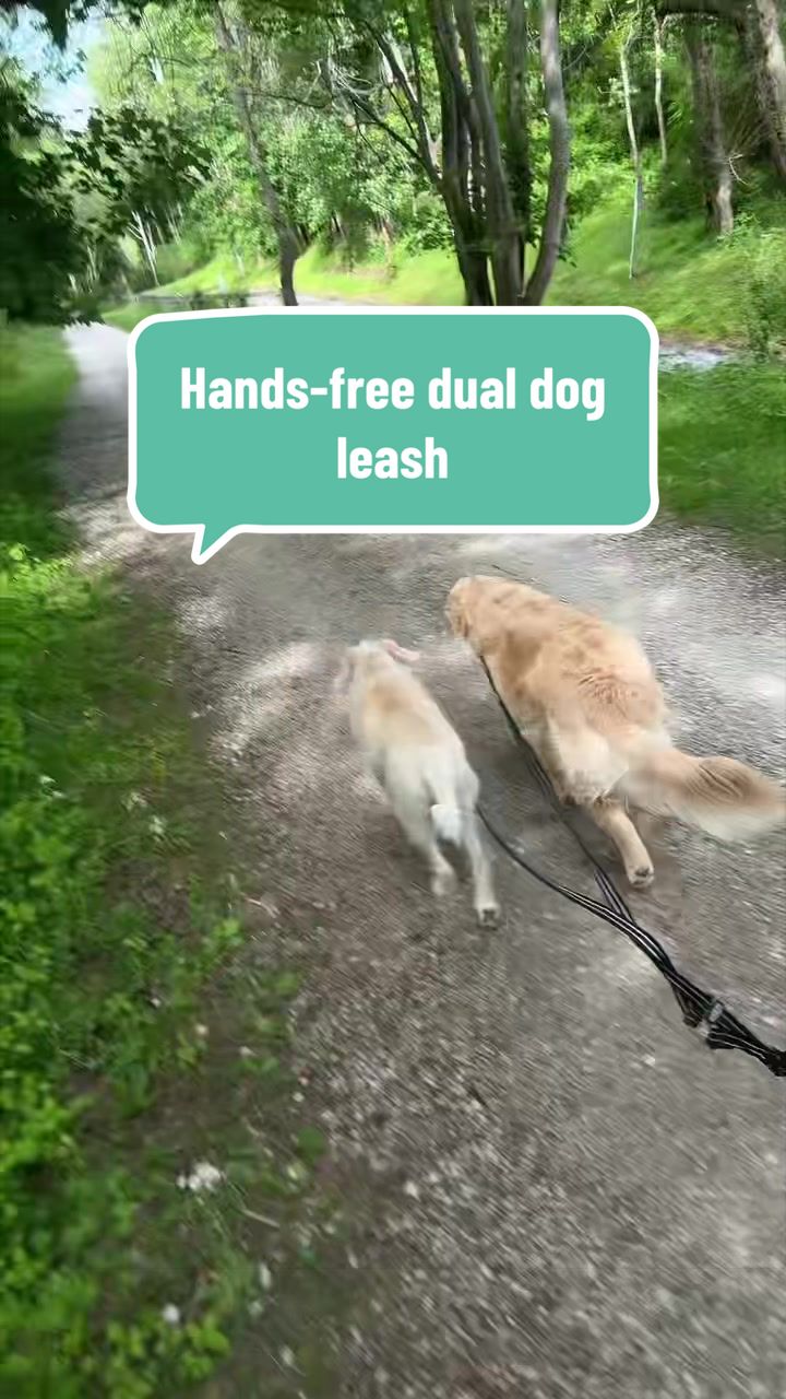 @🐾My3DogLife🐾