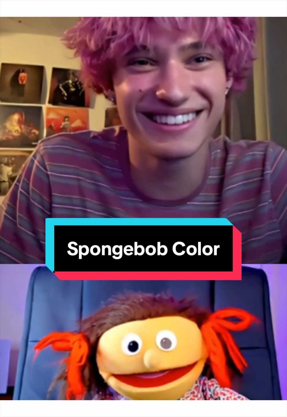@PeterPrankster