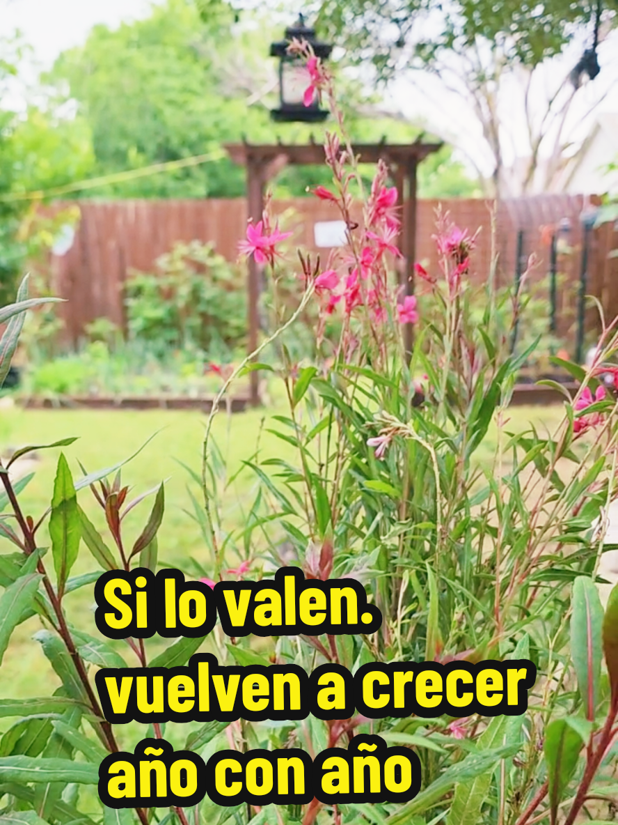 @Mi Rinc&oacute;n Favorito