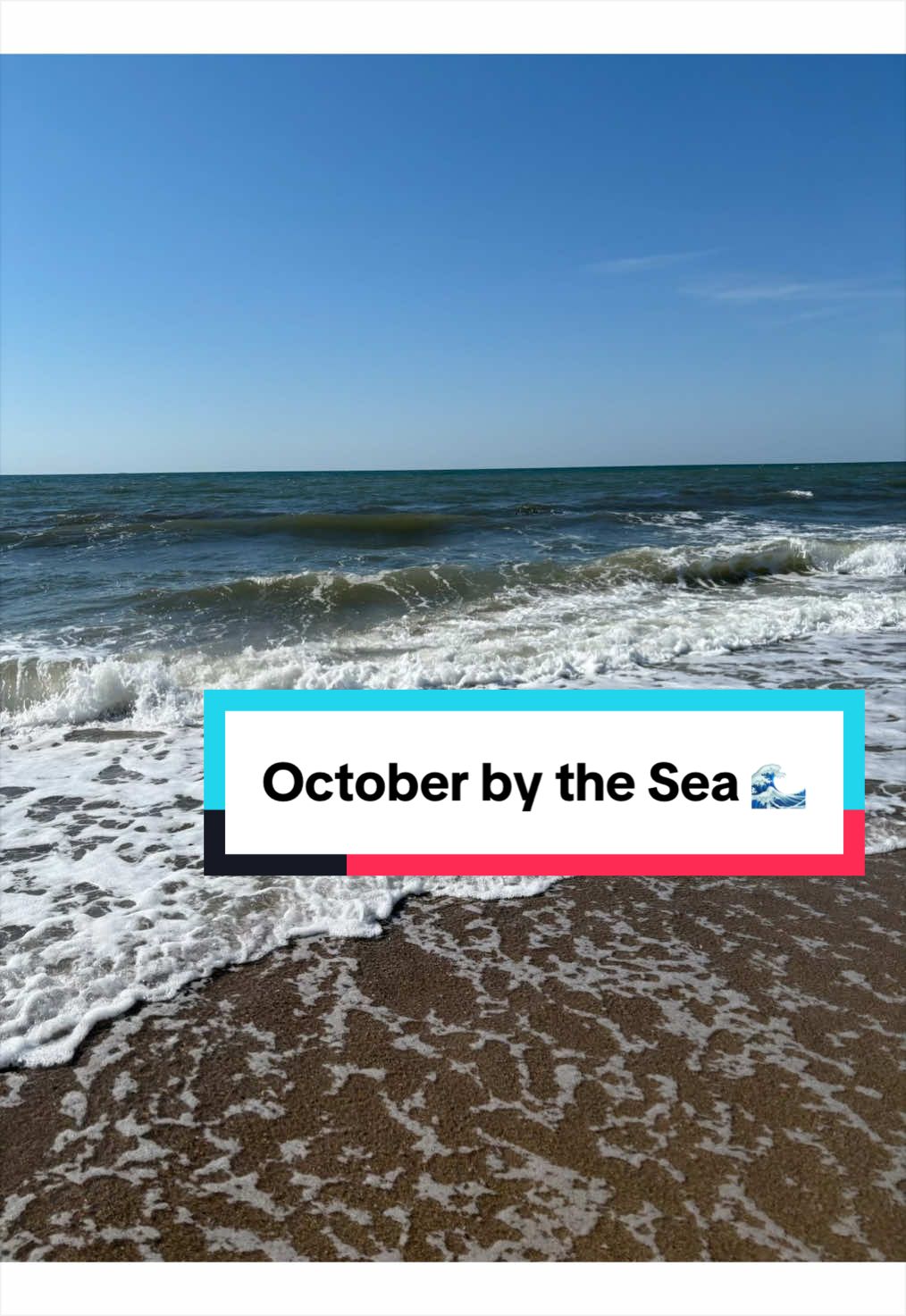 @Leaf & Tide | NC Coastal Gems