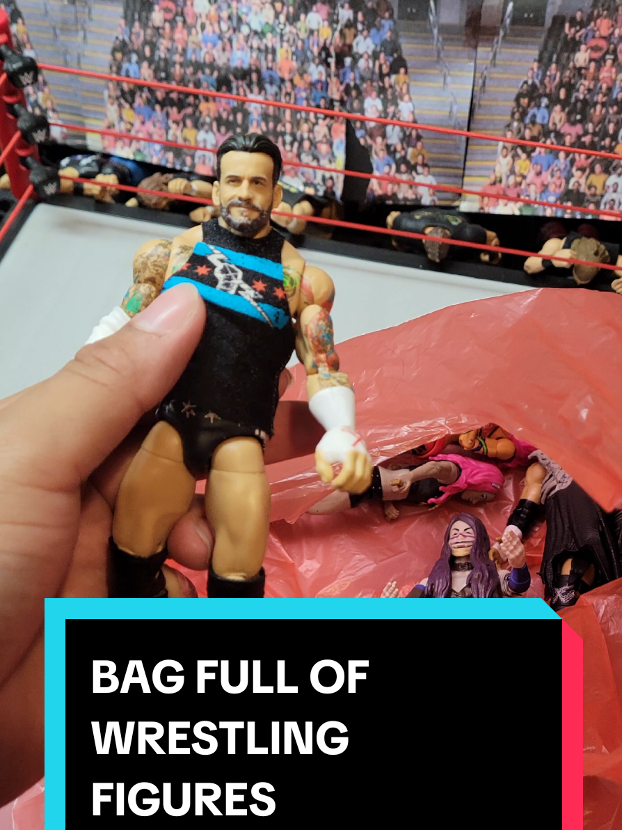 @Lucha Bro