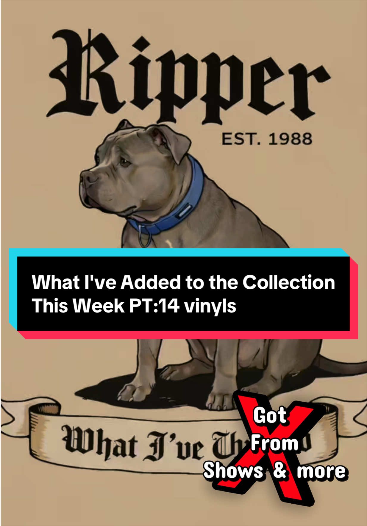 @ℜ𝔦𝔭𝔭𝔢𝔯ℜ𝔦𝔭𝔰