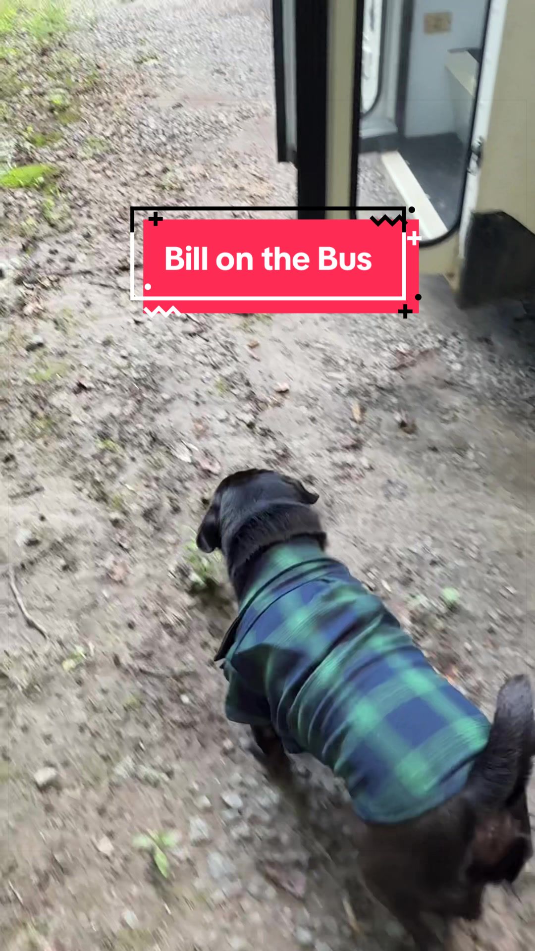 @The Storybook Bus