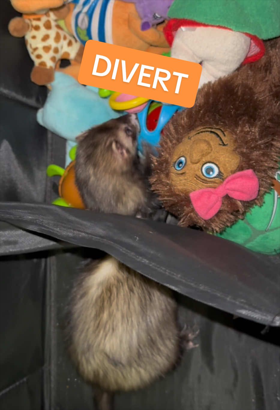 @Veritologic