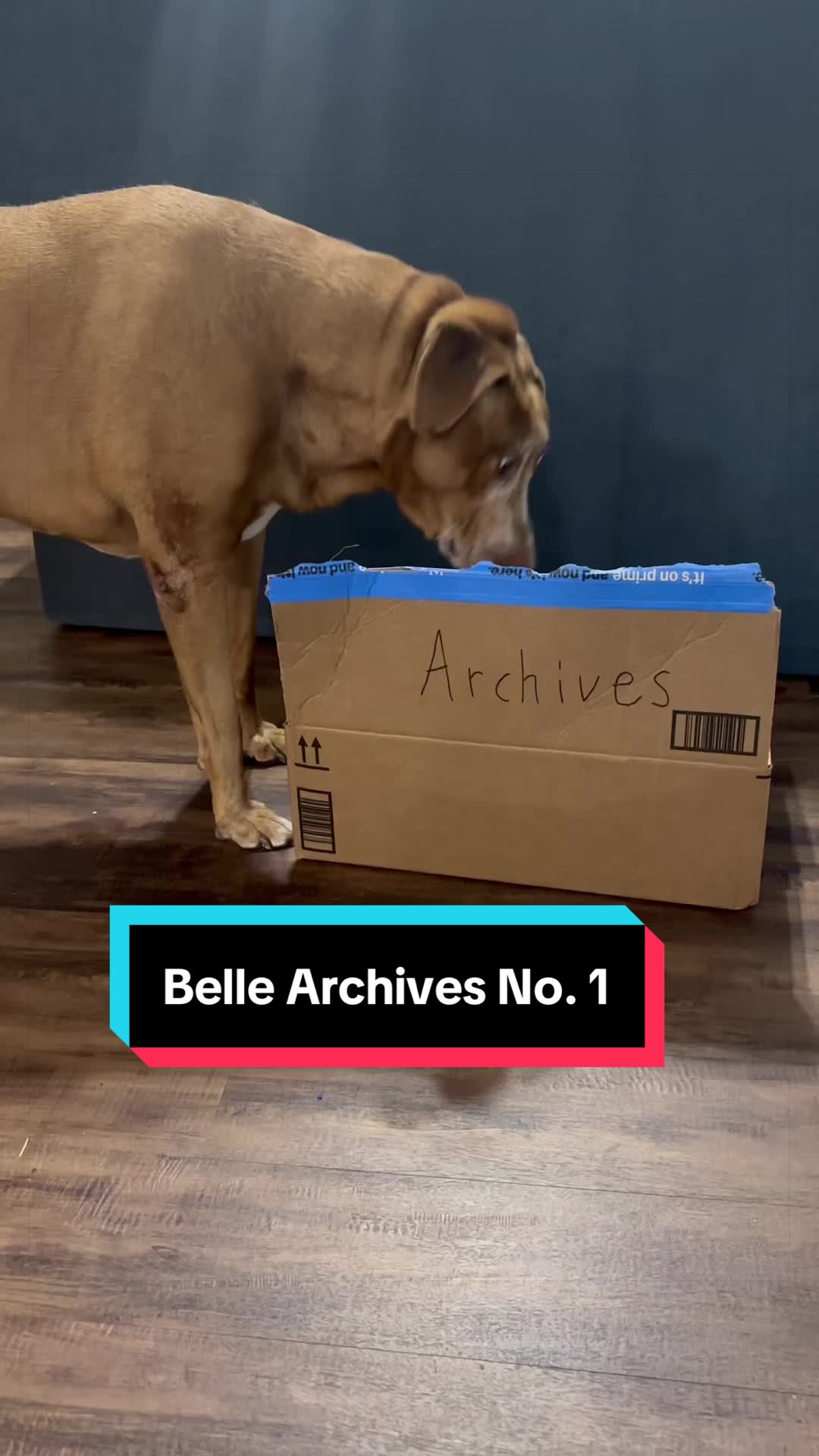 @Belle O’Neill