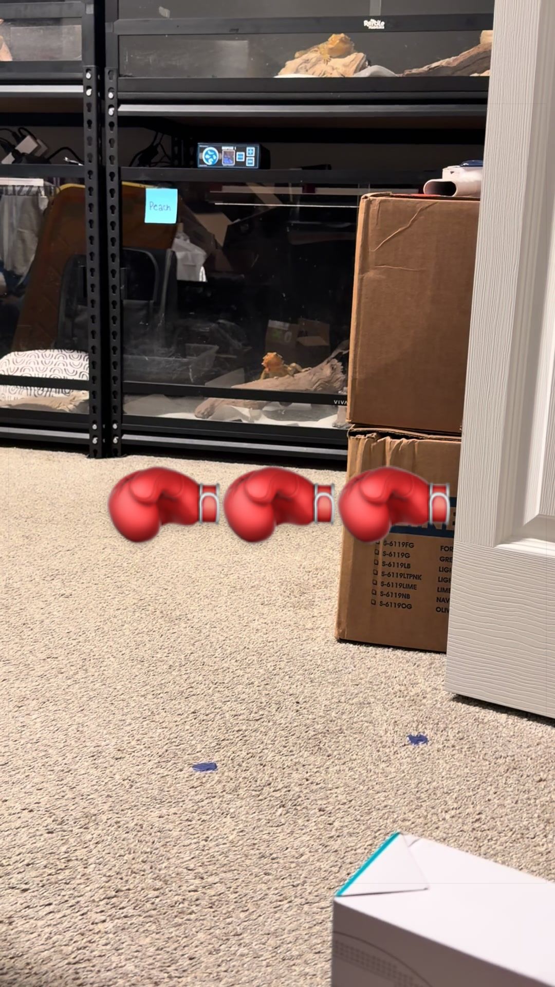 @indominusreps
