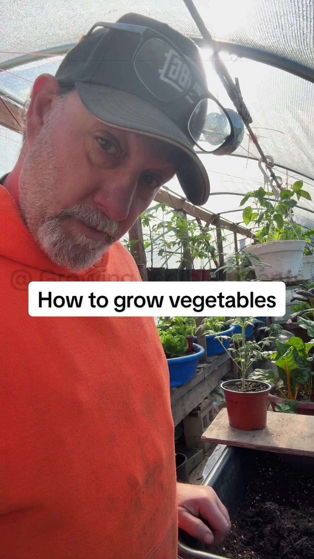 @GROWING_EDIBLE_PLANTS