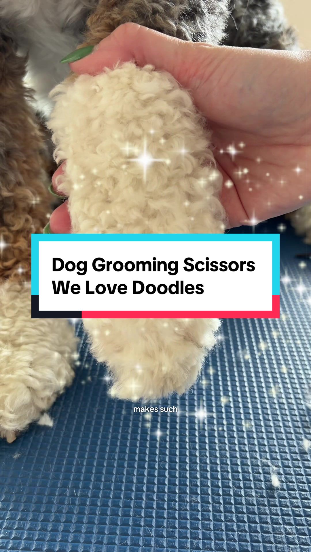 @Archie The Bernedoodle