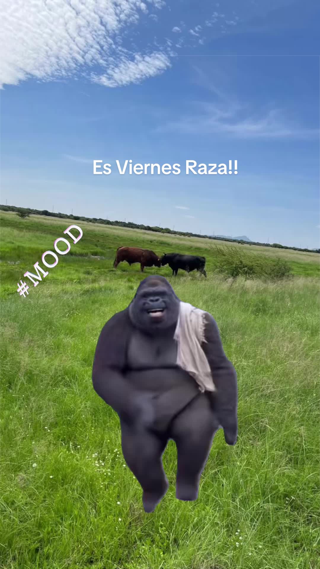 @La Duranguense 🤠 🇲🇽