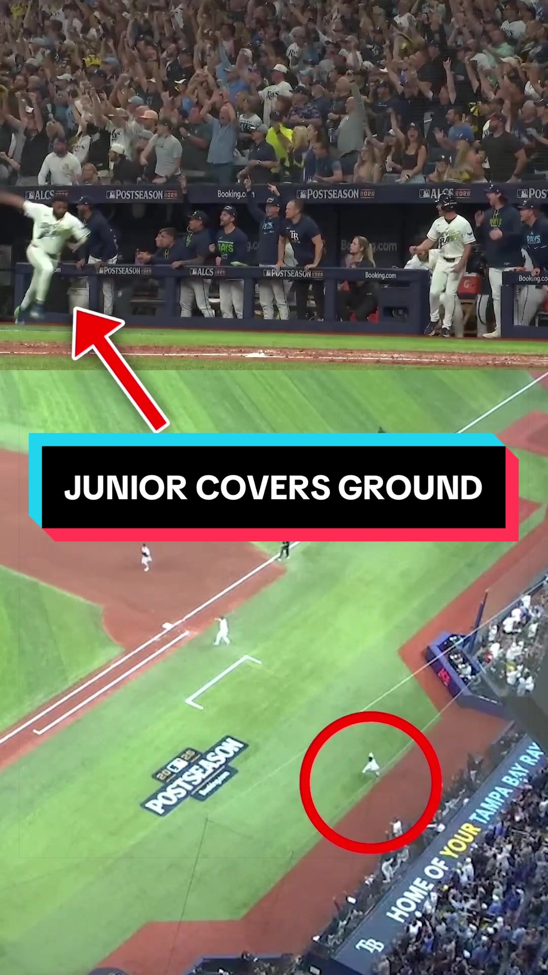 @MLB
