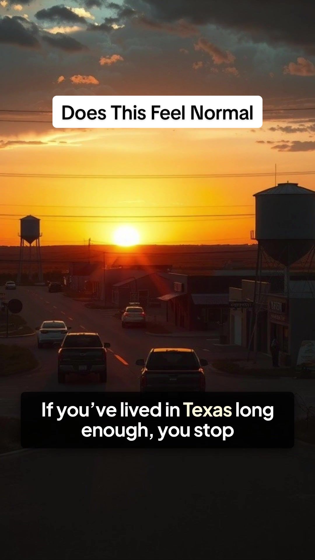 @Texas Untamed