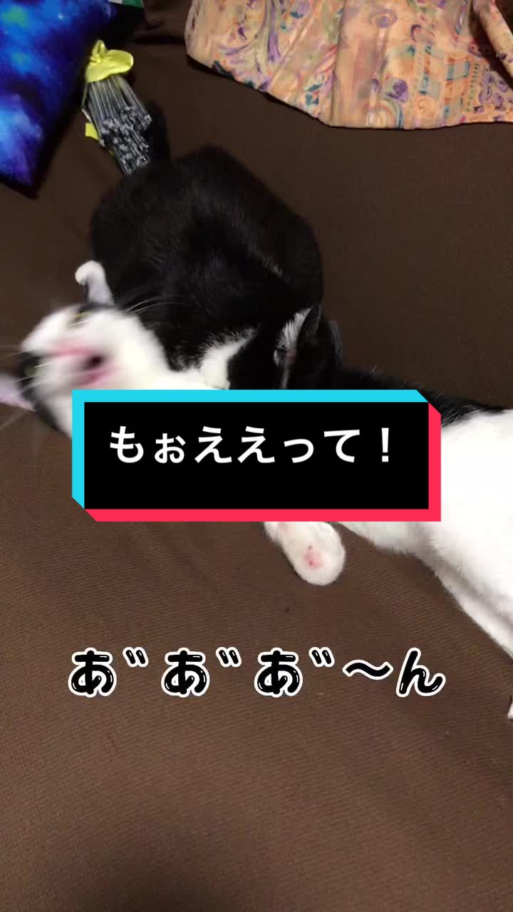 @陸丸 Rikumaru